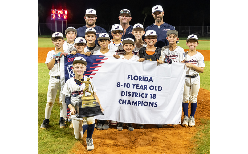 2025 8-10 D18 Baseball Champions